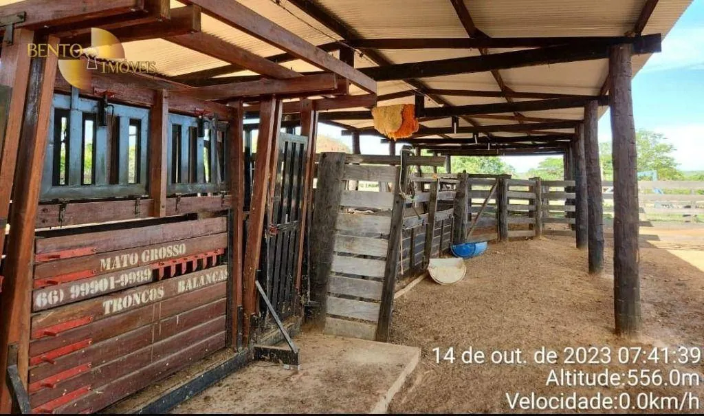 Fazenda à venda de 1.600 ha em Tesouro, MT, Brasil