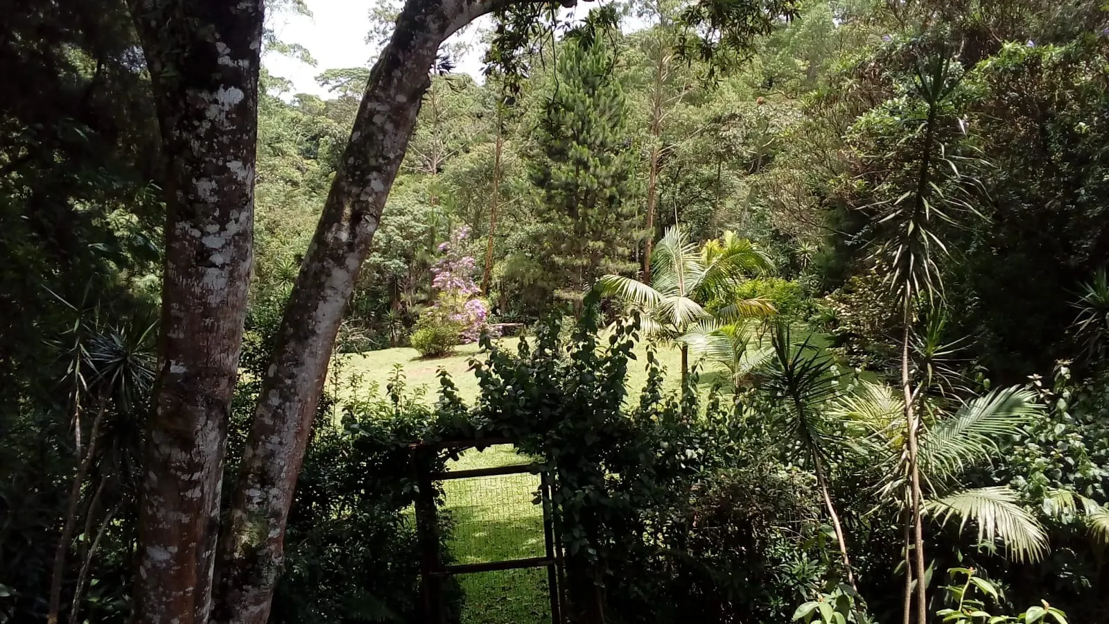 Terreno à venda de 1.800 m² em Mairiporã, SP, Brasil