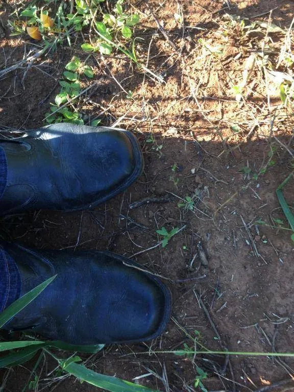 Sítio à venda de 36 ha em Cuiabá, MT, Brasil