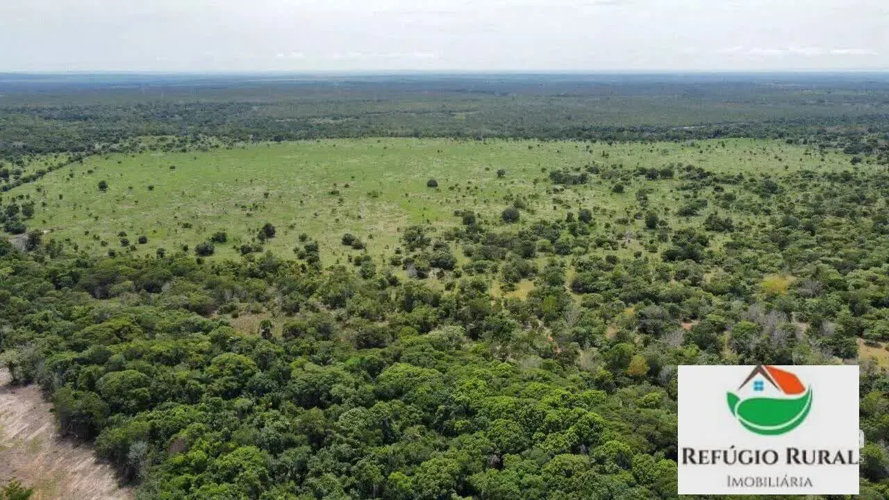 Fazenda à venda de 2.744 ha em Rio dos Bois, TO, Brasil
