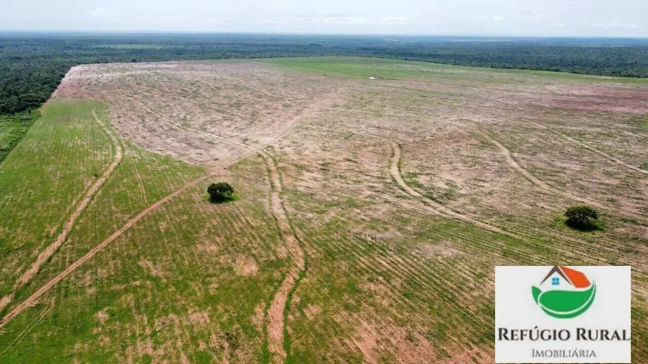 Fazenda à venda de 2.744 ha em Rio dos Bois, TO, Brasil