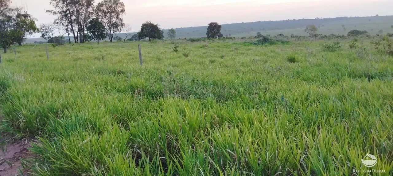 Fazenda à venda de 840 ha em Sonora, MS, Brasil