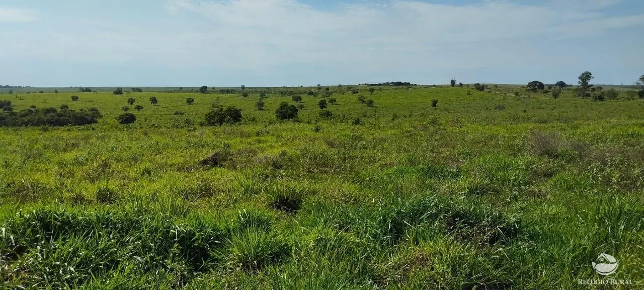 Fazenda à venda de 840 ha em Sonora, MS, Brasil