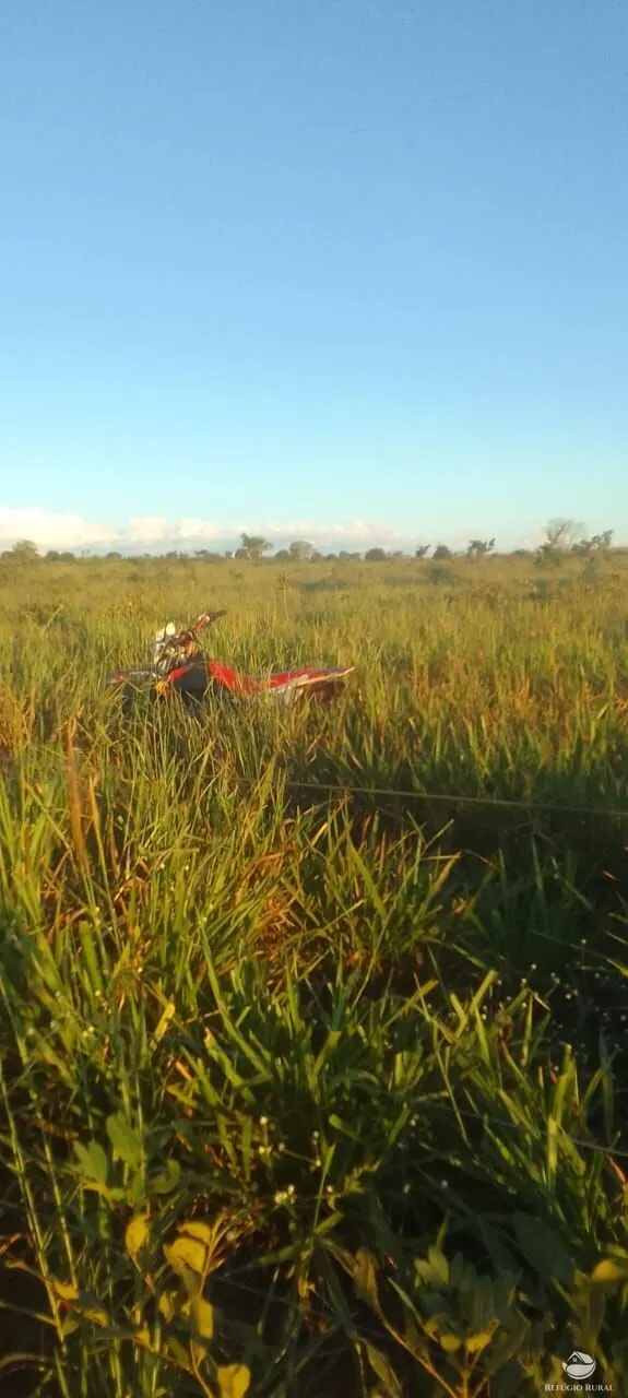 Fazenda à venda de 840 ha em Sonora, MS, Brasil