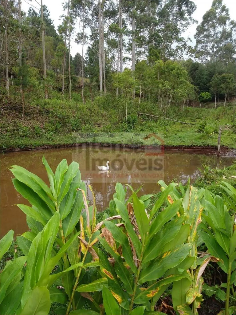 Chácara à venda de 2 ha em São Luiz do Paraitinga, SP, Brasil