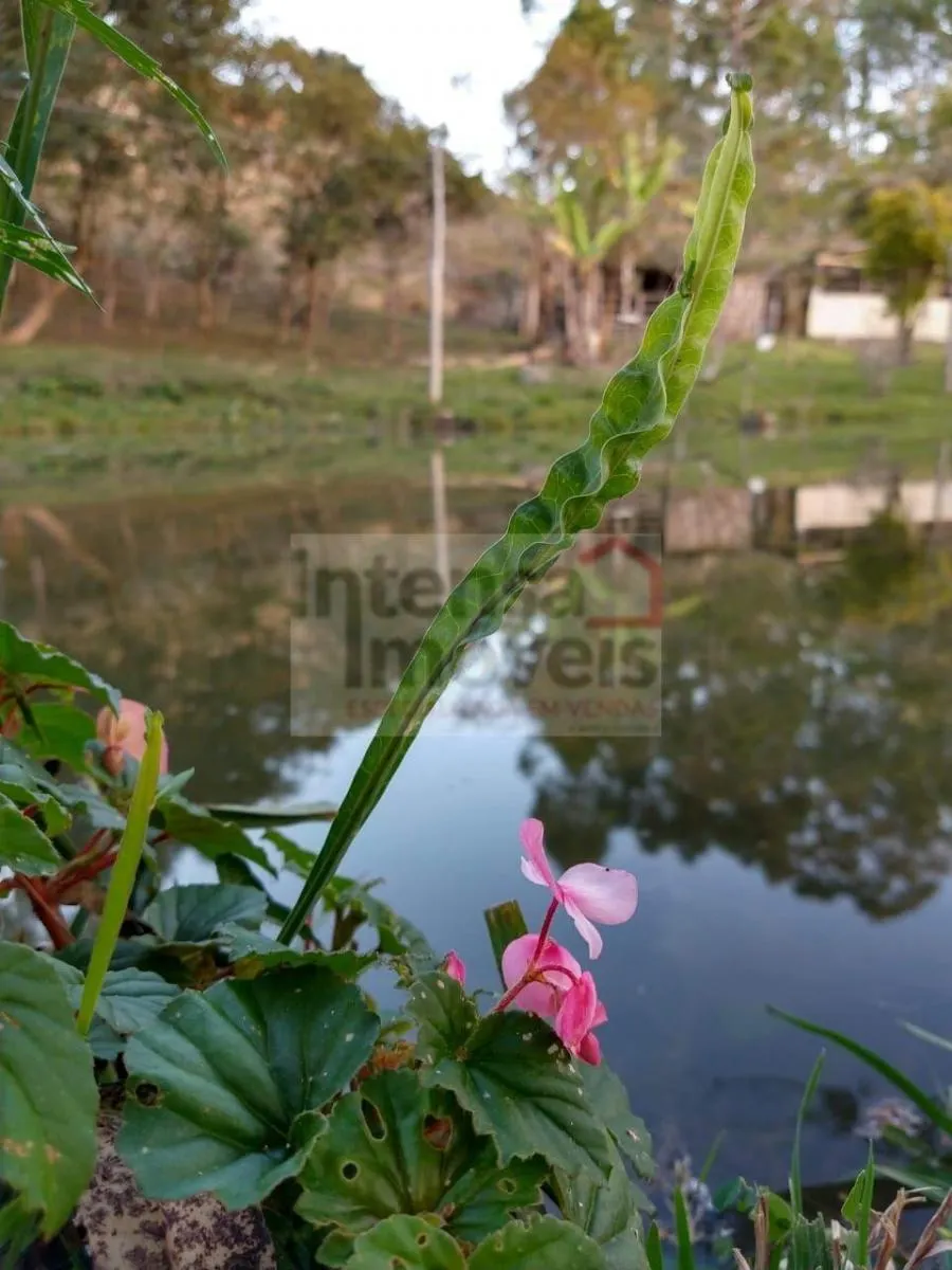 Chácara à venda de 2 ha em São Luiz do Paraitinga, SP, Brasil