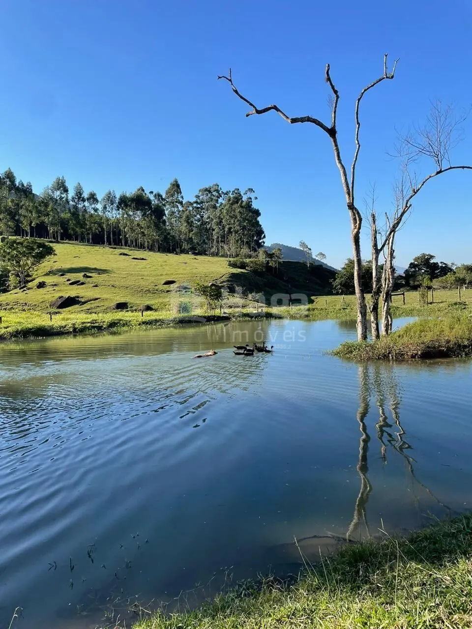 Chácara à venda de 15 ha em Tijucas, SC, Brasil