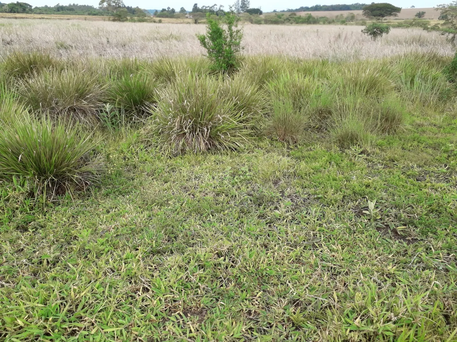 Sítio à venda de 53 ha em Capela do Alto, SP, Brasil