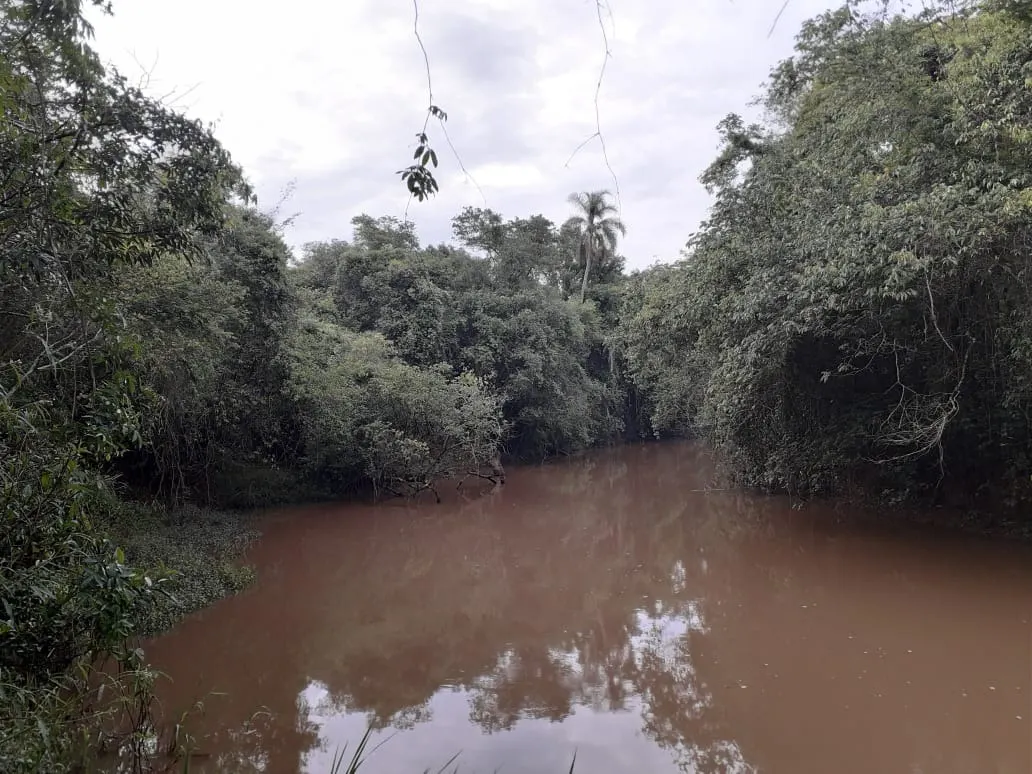 Sítio à venda de 53 ha em Capela do Alto, SP, Brasil