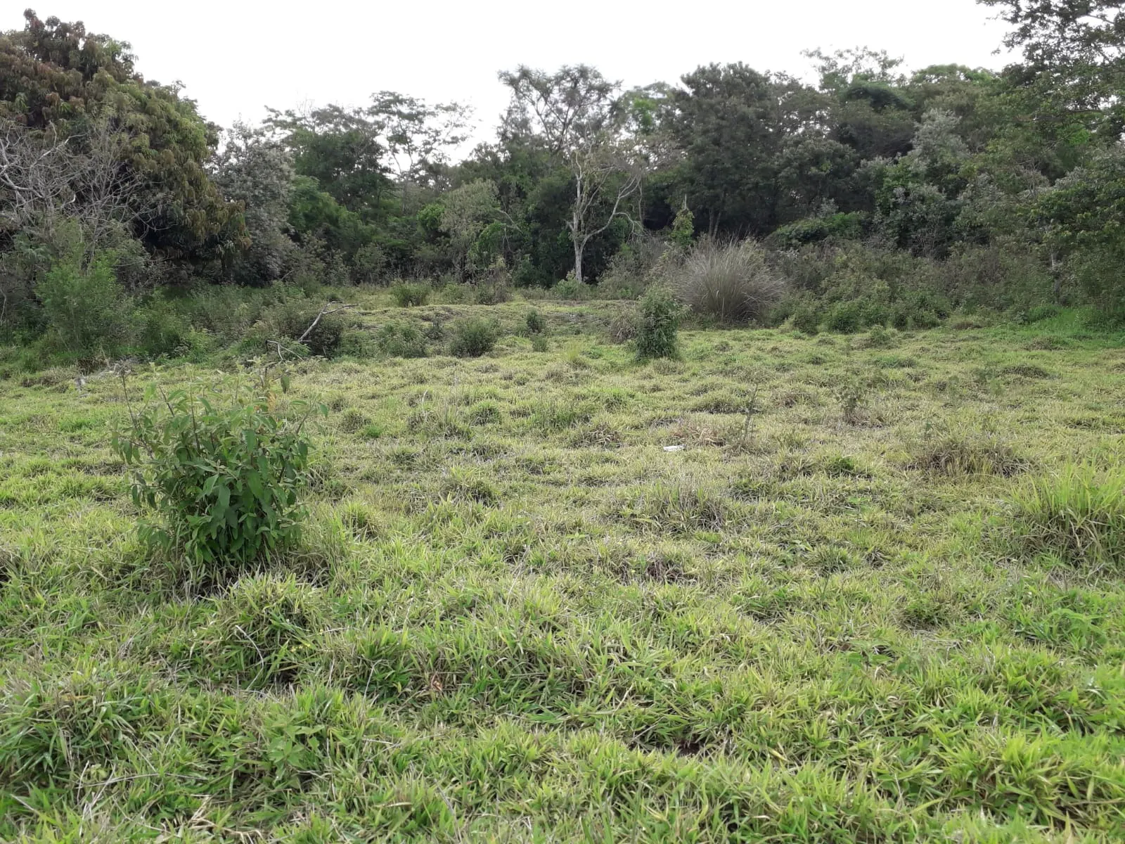 Sítio à venda de 53 ha em Capela do Alto, SP, Brasil