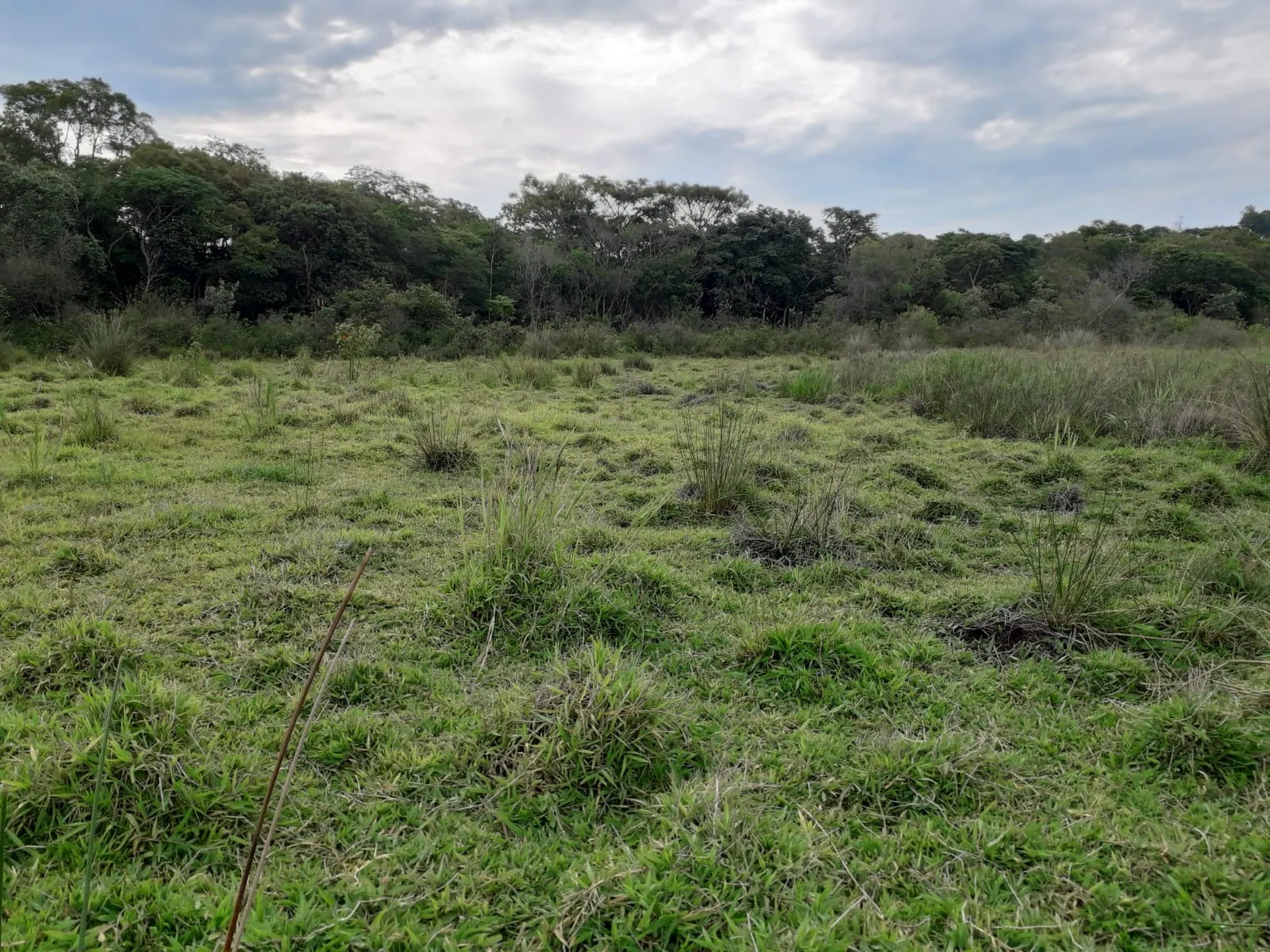Sítio à venda de 53 ha em Capela do Alto, SP, Brasil