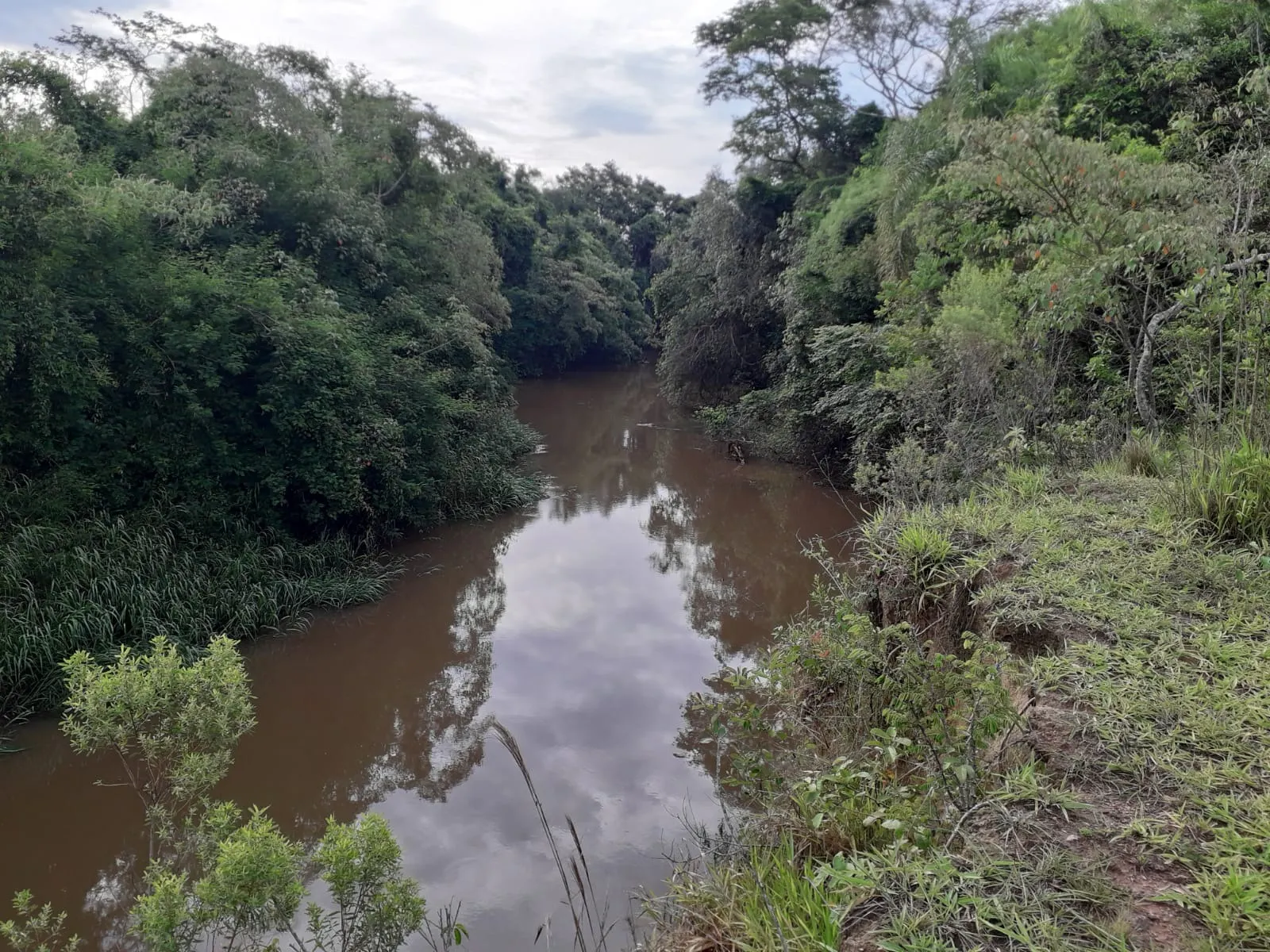 Sítio à venda de 53 ha em Capela do Alto, SP, Brasil