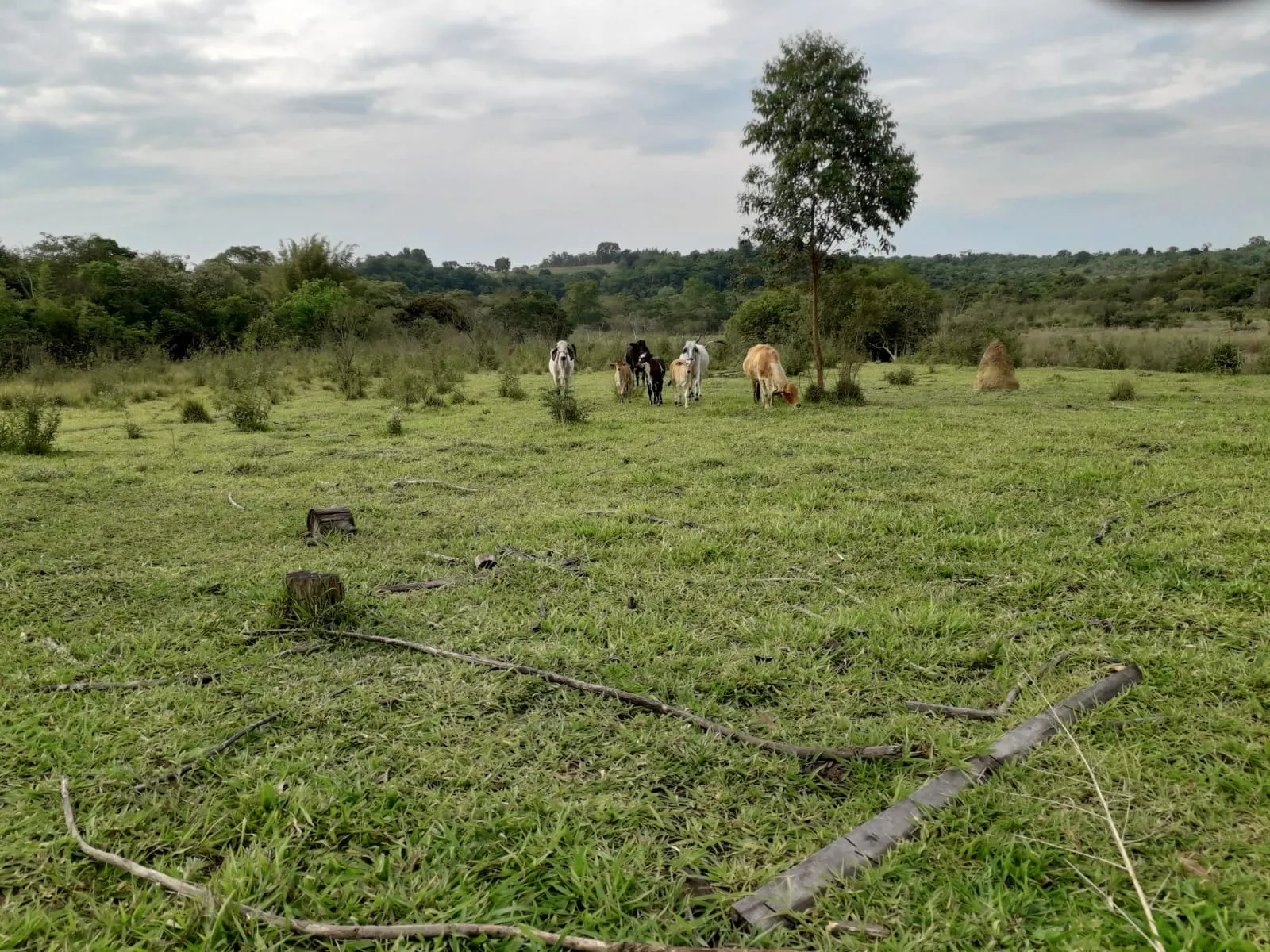 Sítio à venda de 53 ha em Capela do Alto, SP, Brasil