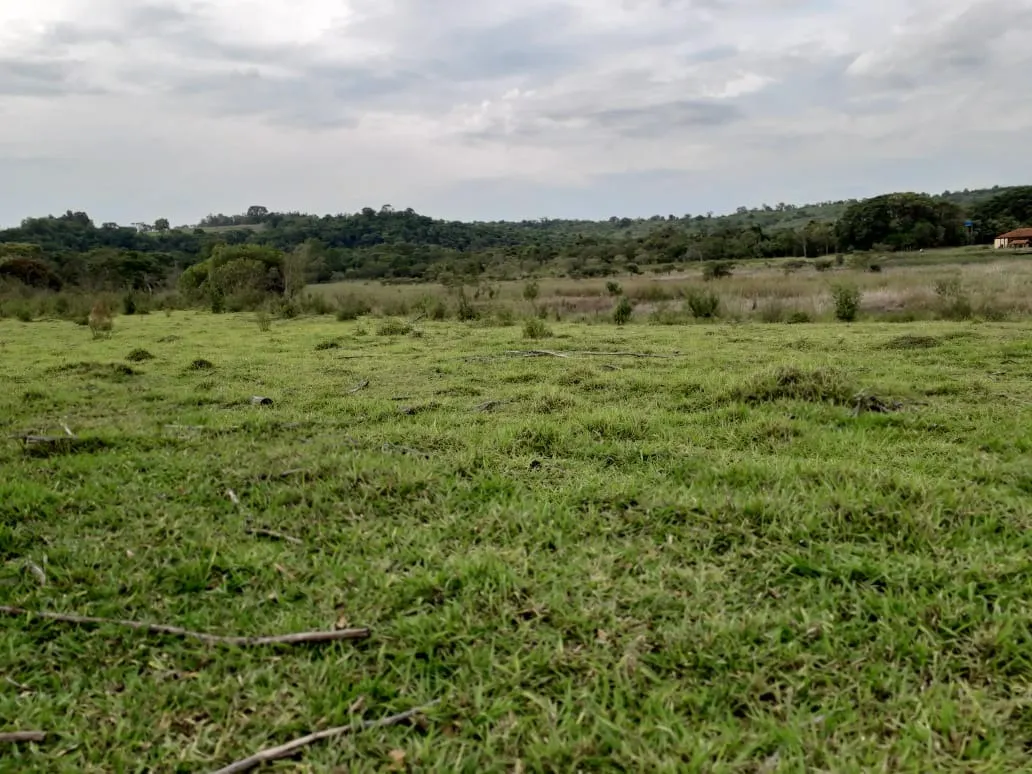 Sítio à venda de 53 ha em Capela do Alto, SP, Brasil