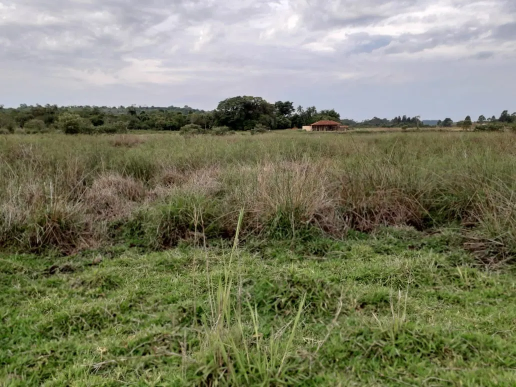 Sítio à venda de 53 ha em Capela do Alto, SP, Brasil