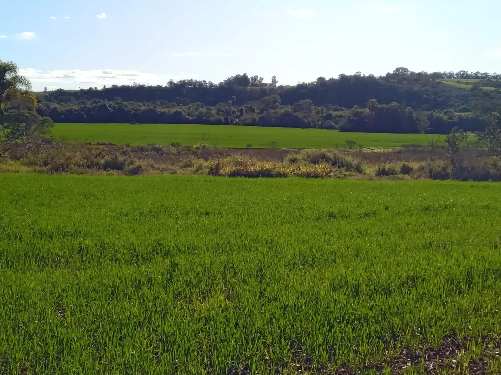 Sítio à venda de 53 ha em Capela do Alto, SP, Brasil