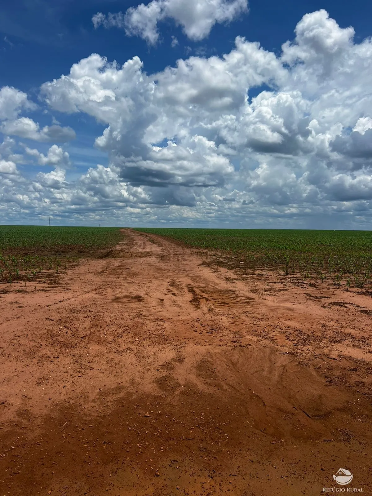Fazenda à venda de 5.200 ha em Canarana, MT, Brasil