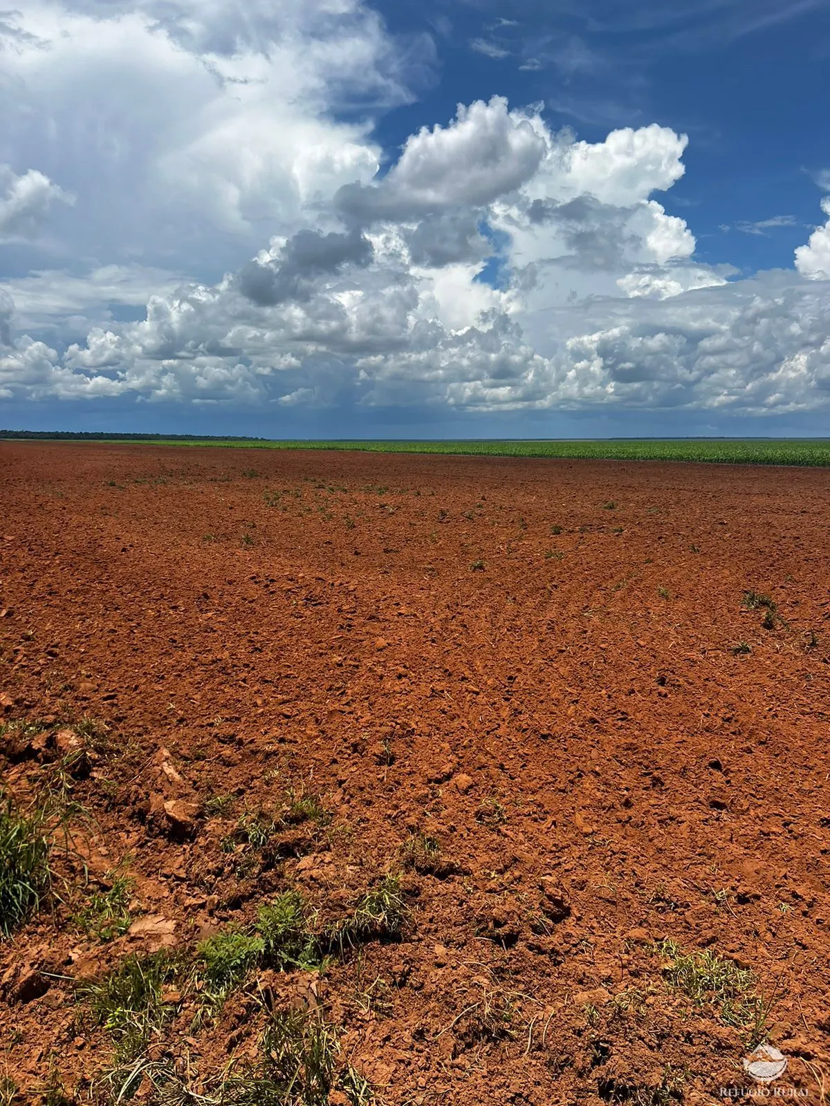 Fazenda à venda de 5.200 ha em Canarana, MT, Brasil