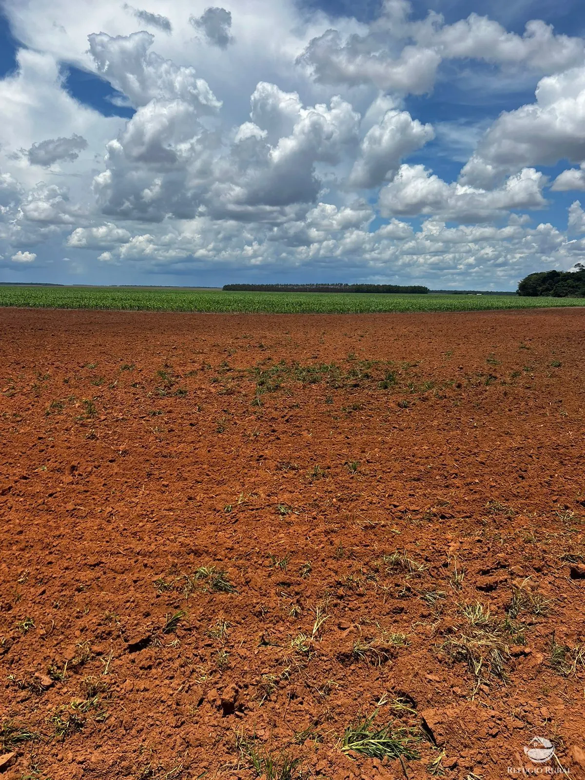 Fazenda à venda de 5.200 ha em Canarana, MT, Brasil