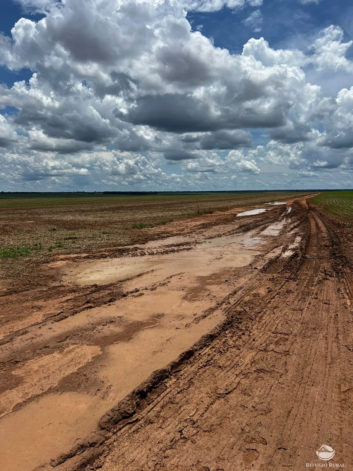 Fazenda à venda de 5.200 ha em Canarana, MT, Brasil
