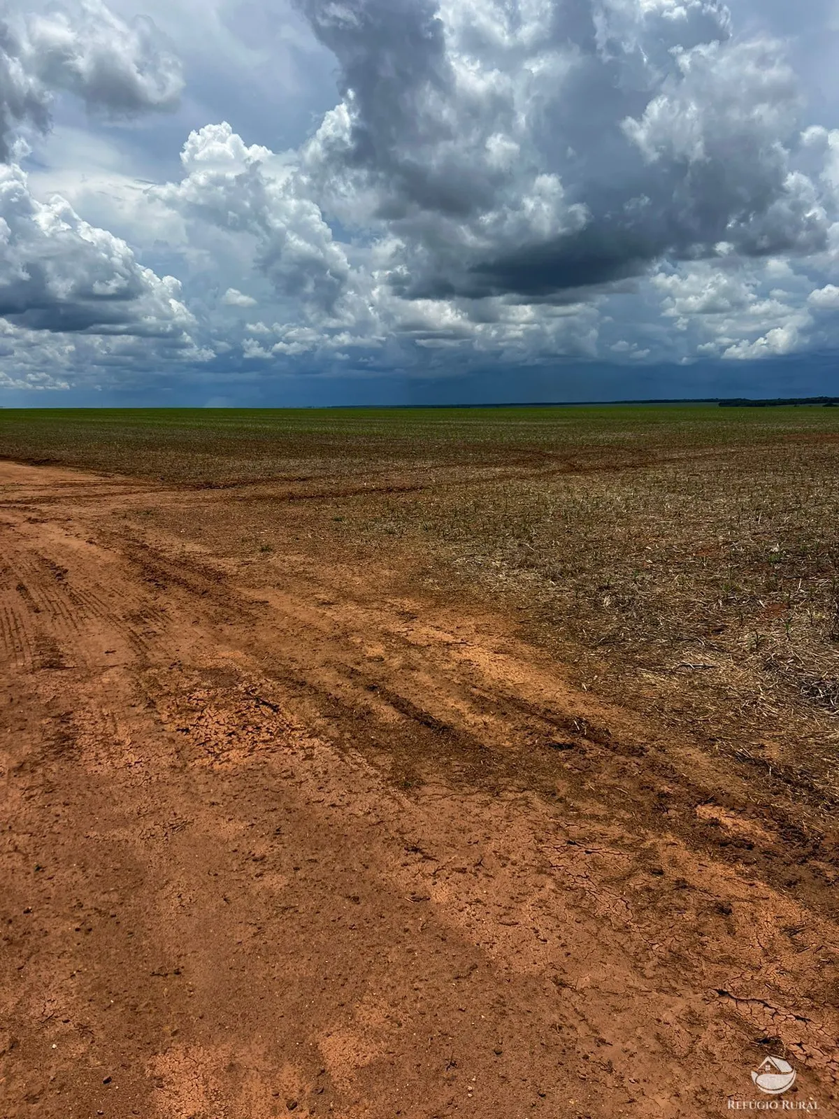 Fazenda à venda de 5.200 ha em Canarana, MT, Brasil