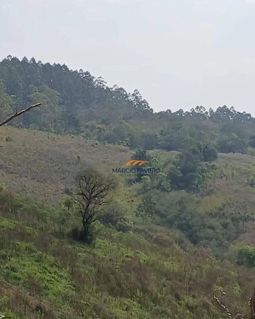 Fazenda à venda de 726 ha em Pariquera-Açu, SP, Brasil