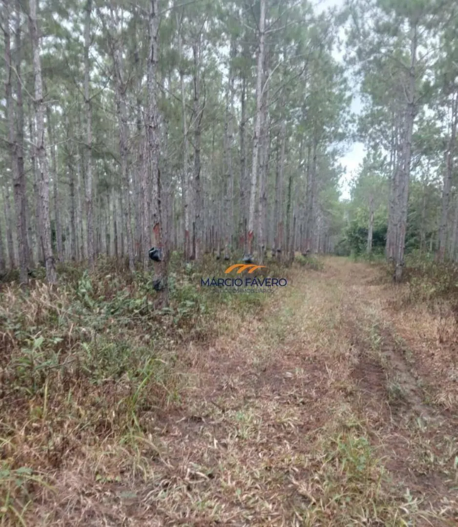 Fazenda à venda de 726 ha em Pariquera-Açu, SP, Brasil