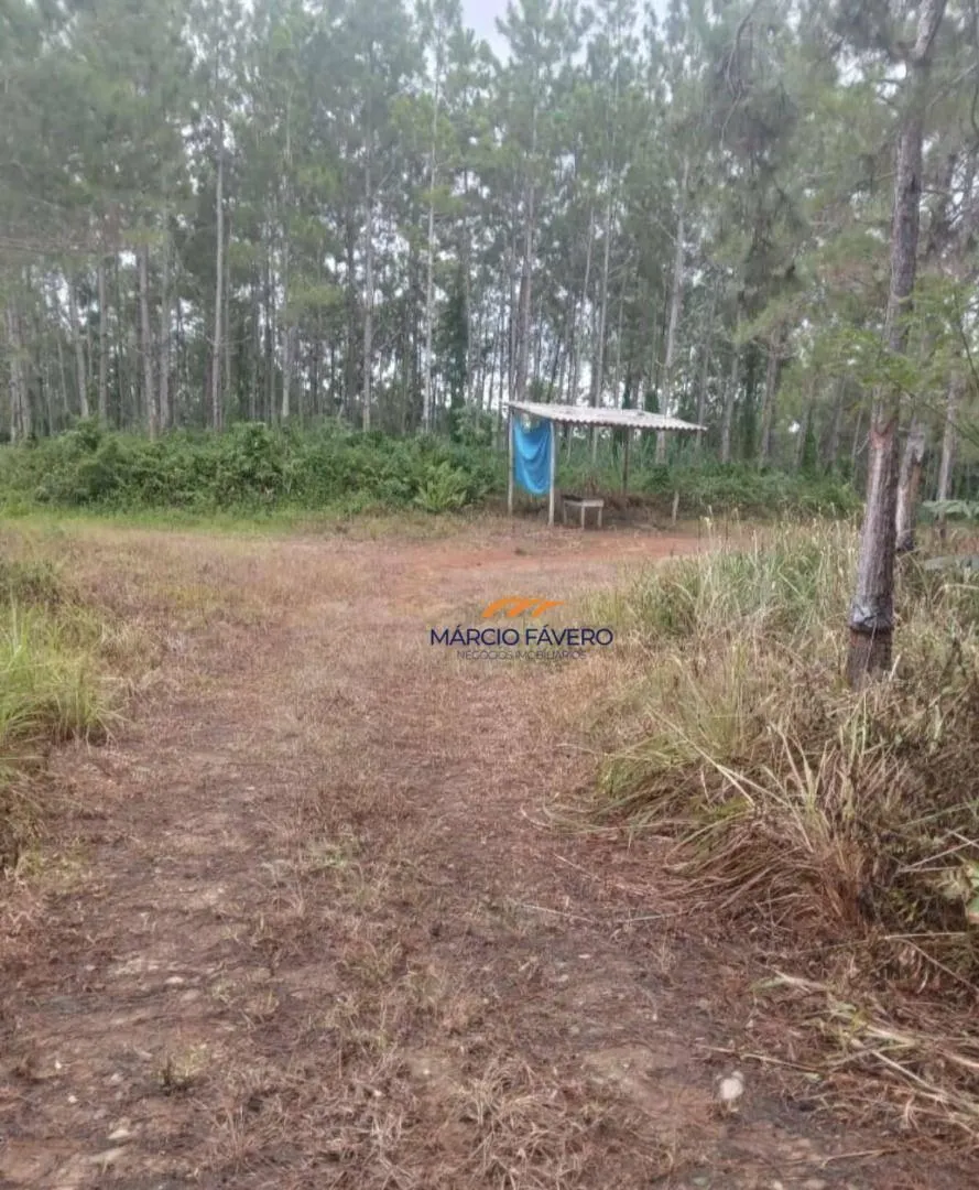 Fazenda à venda de 726 ha em Pariquera-Açu, SP, Brasil