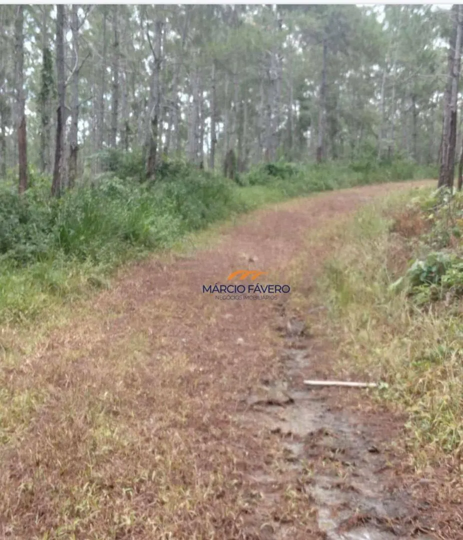 Fazenda à venda de 726 ha em Pariquera-Açu, SP, Brasil
