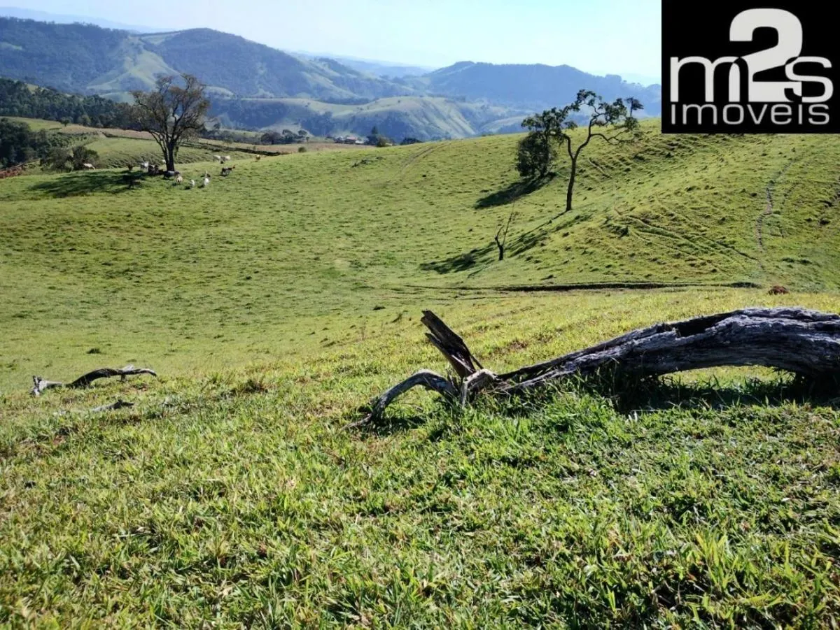 Fazenda à venda de 291 ha em Cunha, SP, Brasil