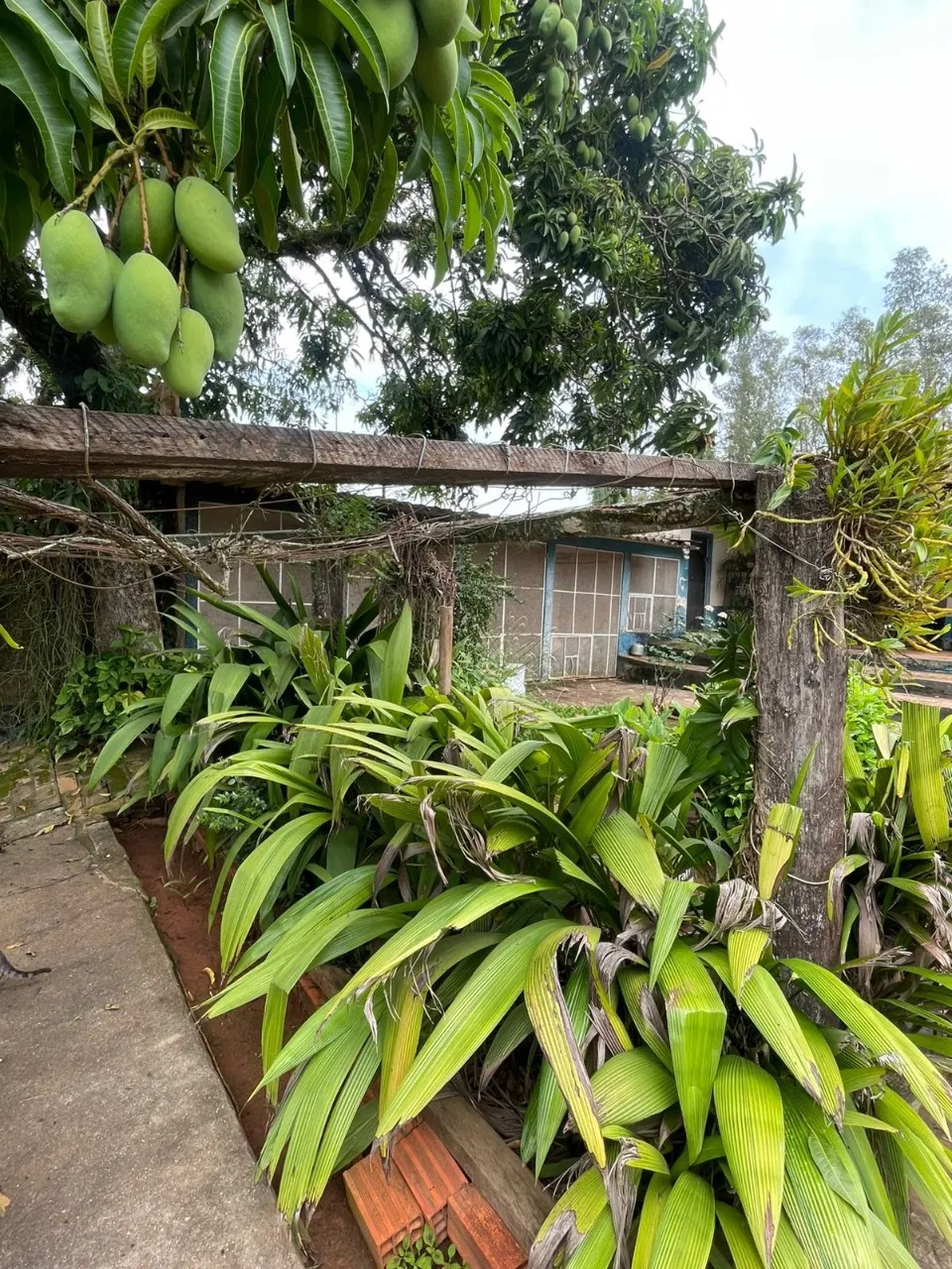 Chácara à venda de 2.200 m² em Tatuí, SP, Brasil
