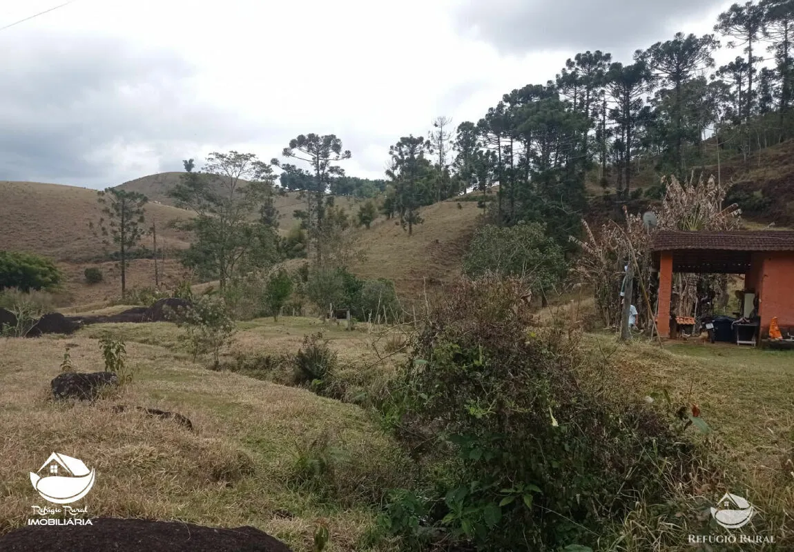 Fazenda à venda de 356 ha em São José dos Campos, SP, Brasil
