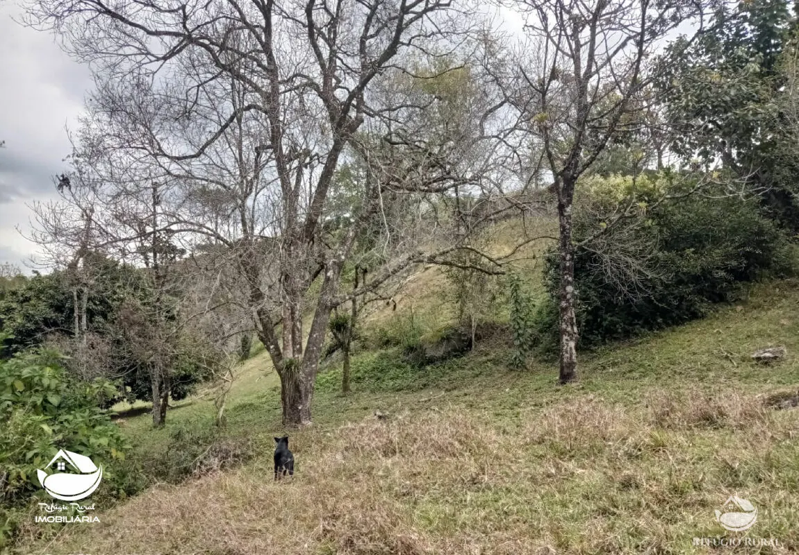 Fazenda à venda de 356 ha em São José dos Campos, SP, Brasil