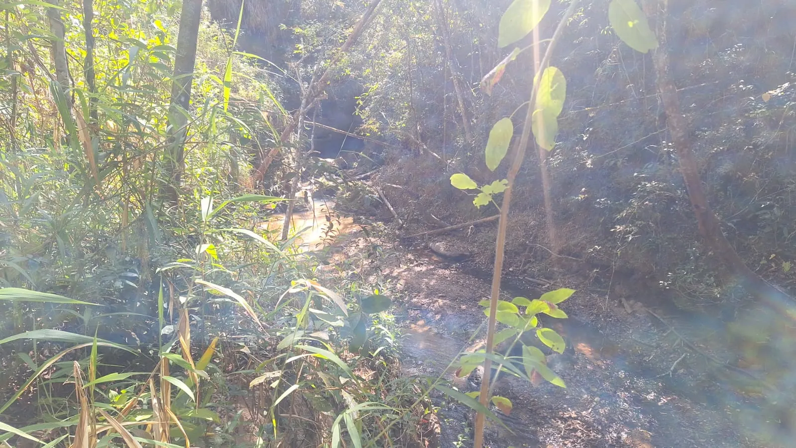 Fazenda à venda de 133 ha em Presidente Olegário, MG, Brasil