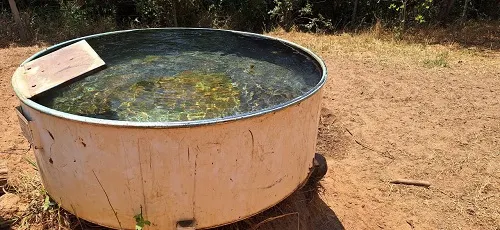 Fazenda à venda de 133 ha em Presidente Olegário, MG, Brasil