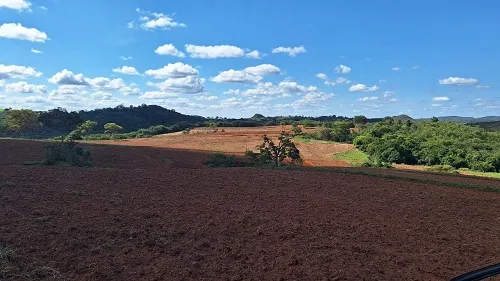 Fazenda à venda de 133 ha em Presidente Olegário, MG, Brasil