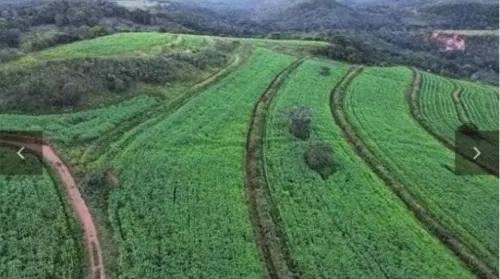 Fazenda à venda de 133 ha em Presidente Olegário, MG, Brasil
