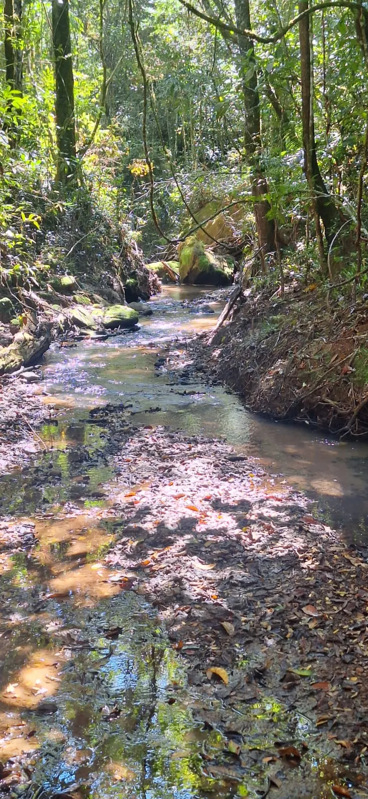 Fazenda à venda de 133 ha em Presidente Olegário, MG, Brasil