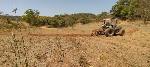 Fazenda à venda de 133 ha em Presidente Olegário, MG, Brasil