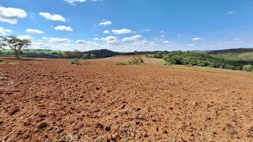 Fazenda à venda de 133 ha em Presidente Olegário, MG, Brasil