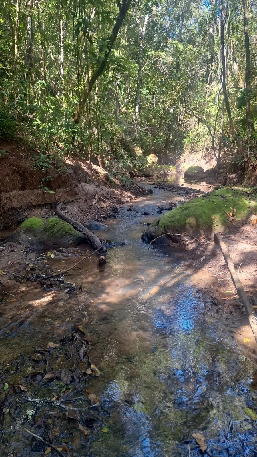 Fazenda à venda de 133 ha em Presidente Olegário, MG, Brasil