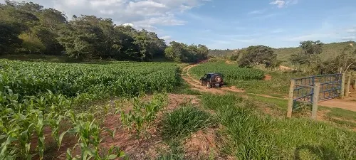 Fazenda à venda de 133 ha em Presidente Olegário, MG, Brasil
