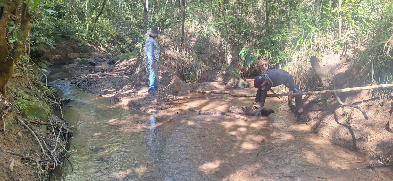 Fazenda à venda de 133 ha em Presidente Olegário, MG, Brasil