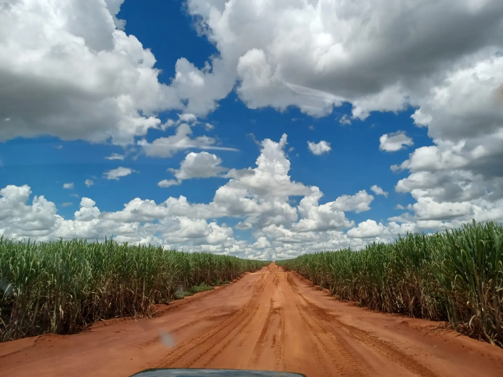 Fazenda à venda de 663 ha em Pacaembu, SP, Brasil