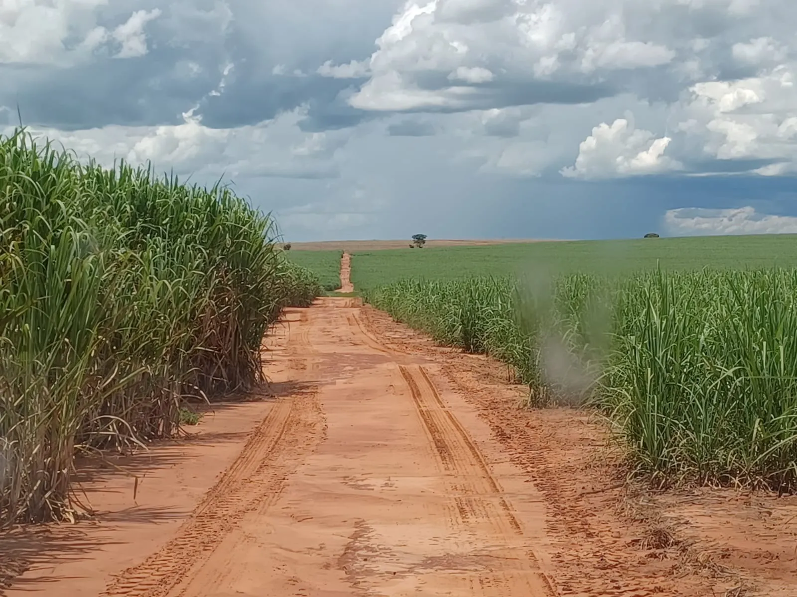 Fazenda à venda de 663 ha em Pacaembu, SP, Brasil