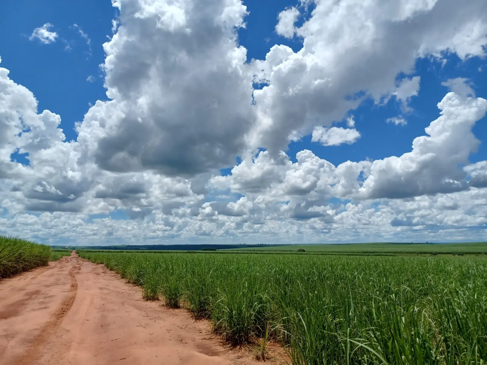 Fazenda à venda de 663 ha em Pacaembu, SP, Brasil