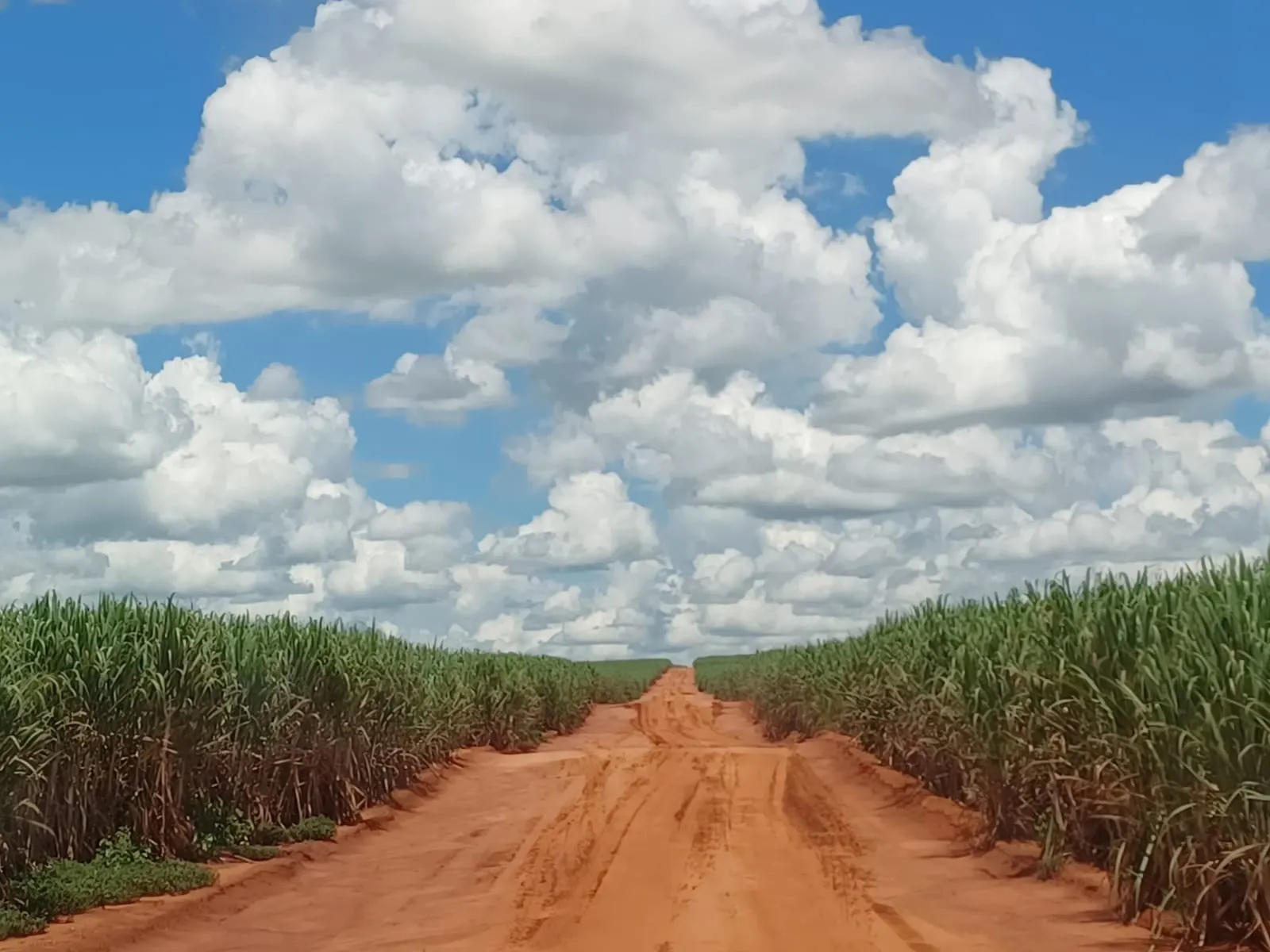 Fazenda à venda de 663 ha em Pacaembu, SP, Brasil