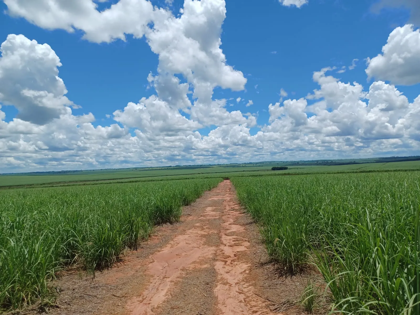 Fazenda à venda de 663 ha em Pacaembu, SP, Brasil