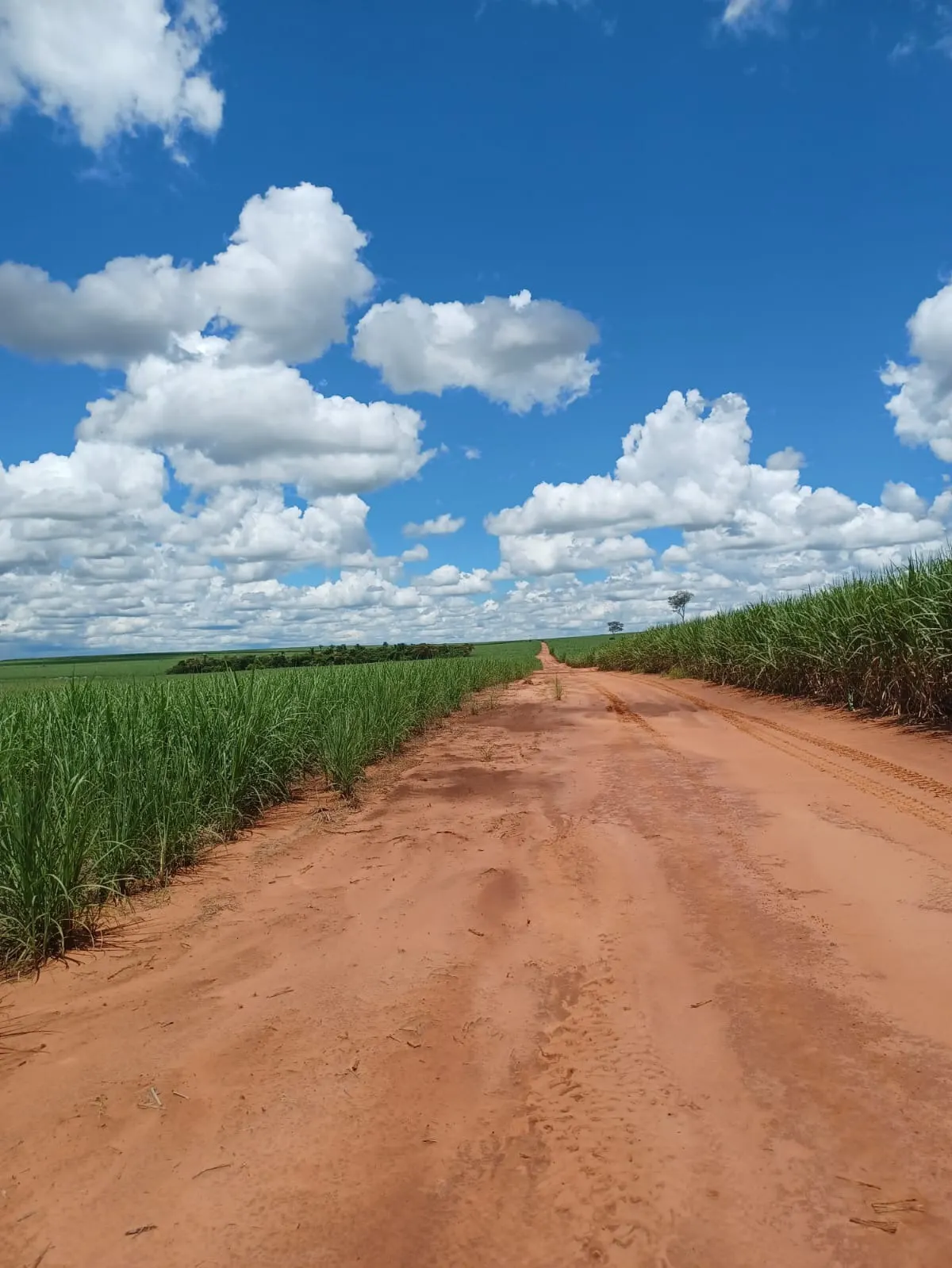 Fazenda à venda de 663 ha em Pacaembu, SP, Brasil