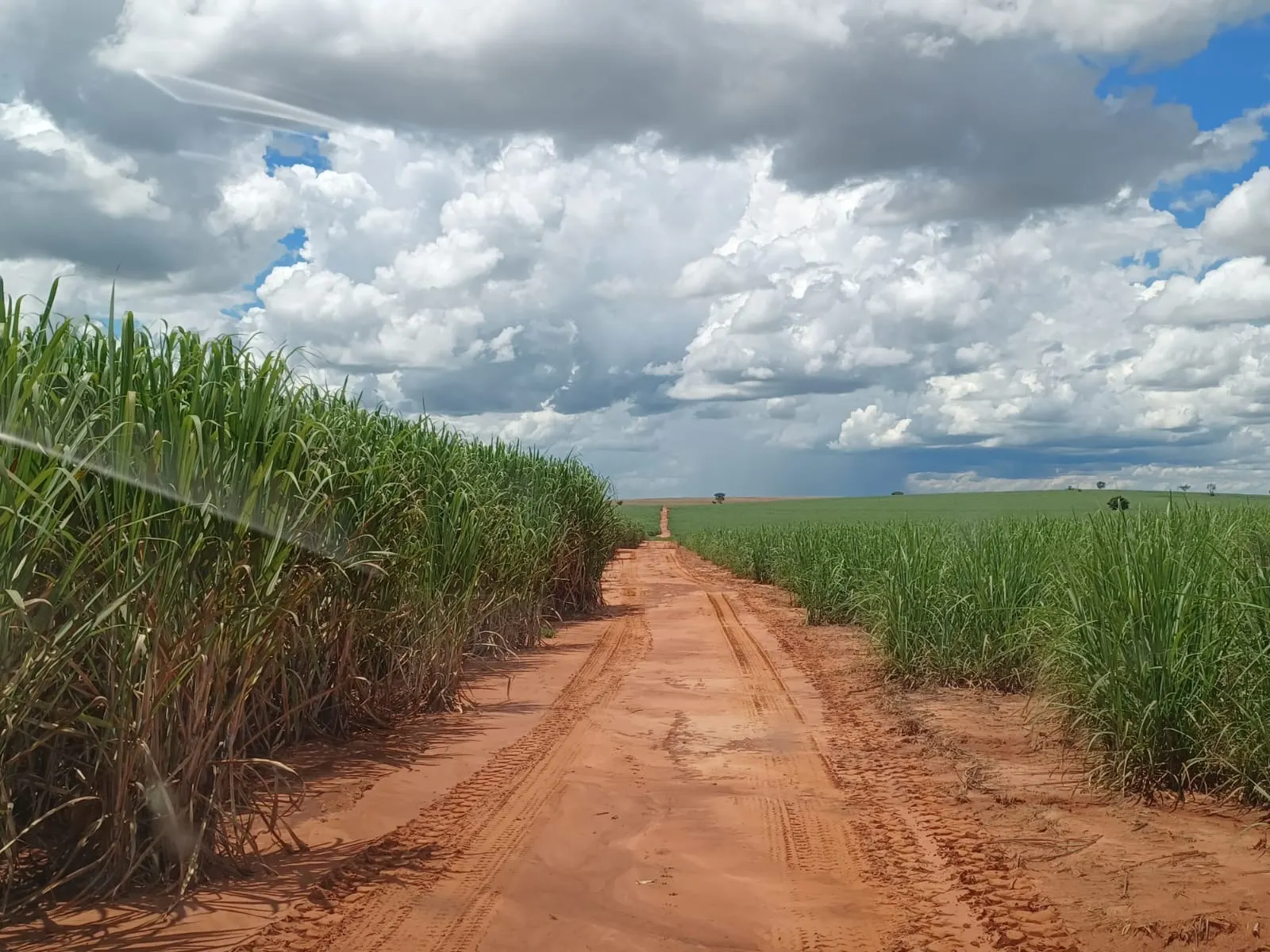Fazenda à venda de 663 ha em Pacaembu, SP, Brasil